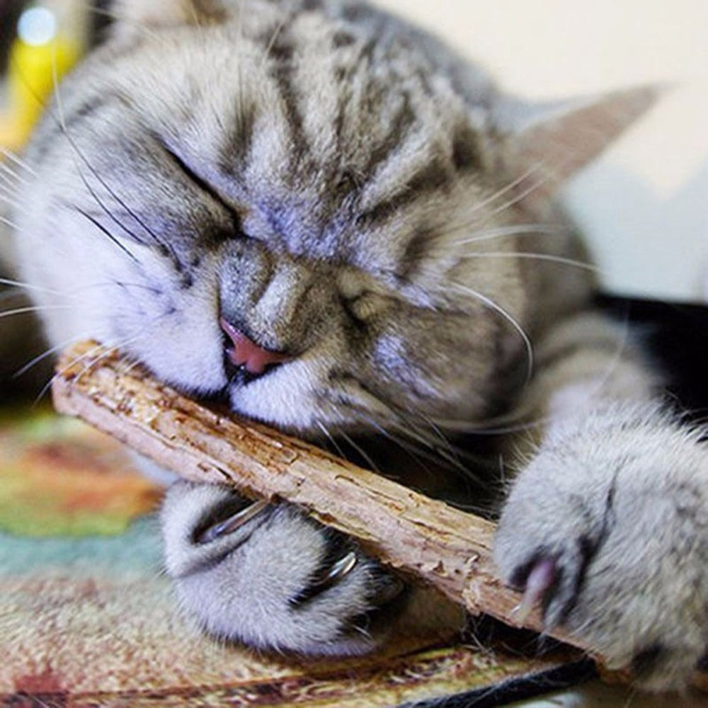 Cat Treats & Chews