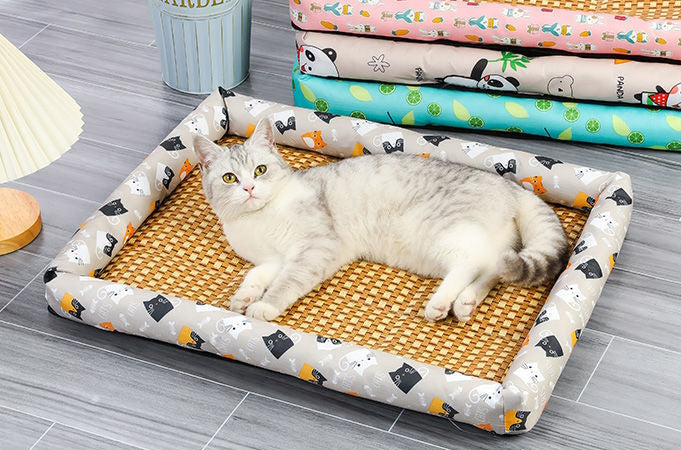 Cat Heating & Cooling