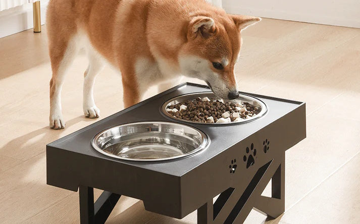 Dog Bowls