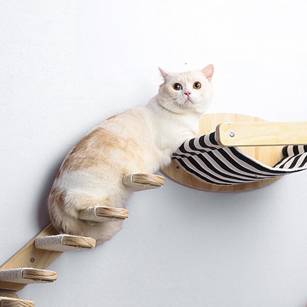 Cat walking up planks to a hammock