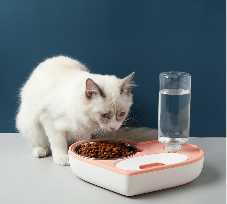 Love For Dinner Pet Bowl with Gravity Fed Water Dispenser