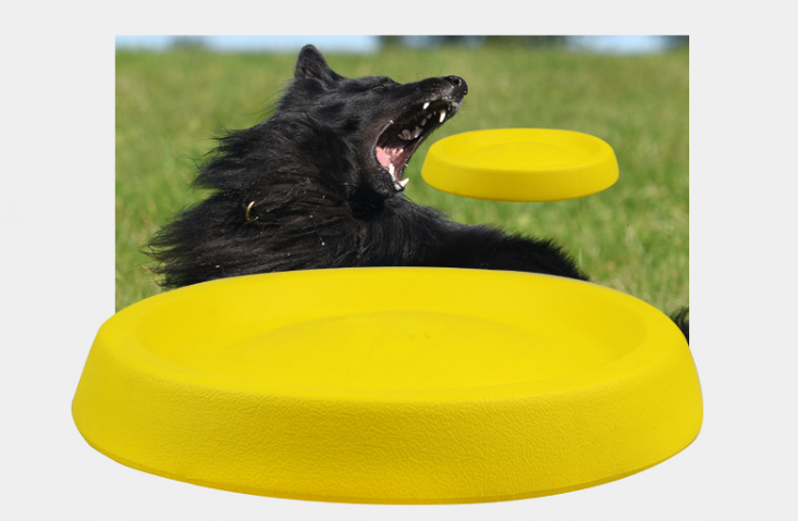 Soft Dog Frisbee Activity Toy