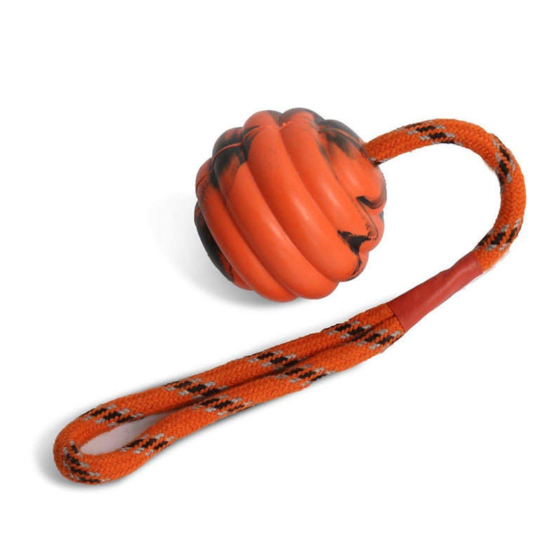 Durable Pet Interactive Exercise Ball Toys Dog Reward Chew Toy for Dog Tooth Clean Ball Toys - InspirationIncluded
