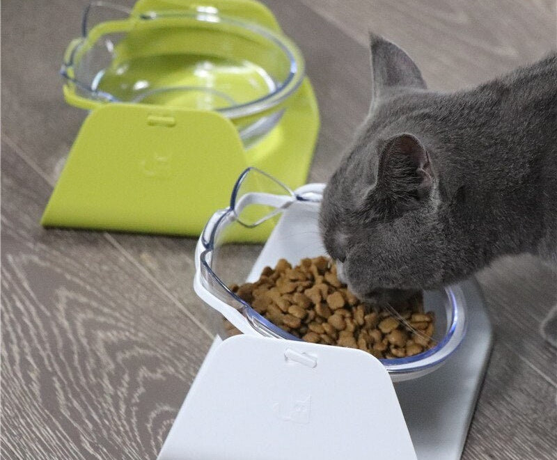 Cat Bowls