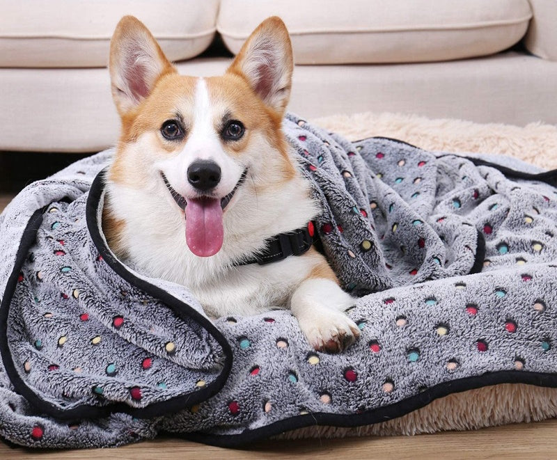 Dog Blankets