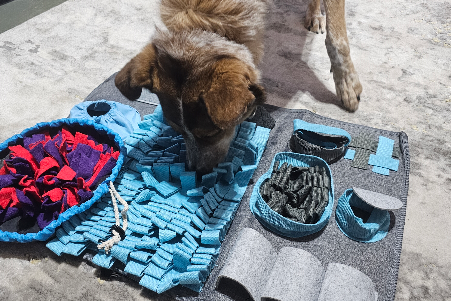 Dog Snuffle Mats