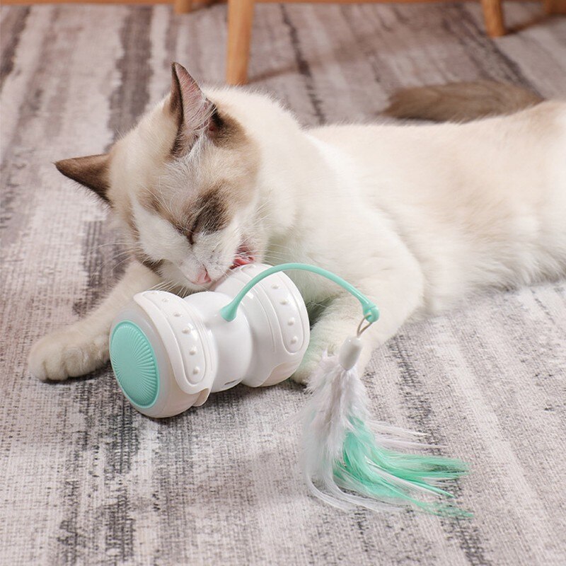 Cat playing with motorized cat toy on wheels with feathers