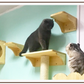 Wall-mounted Wooden Cat Shelf - 2 Sizes