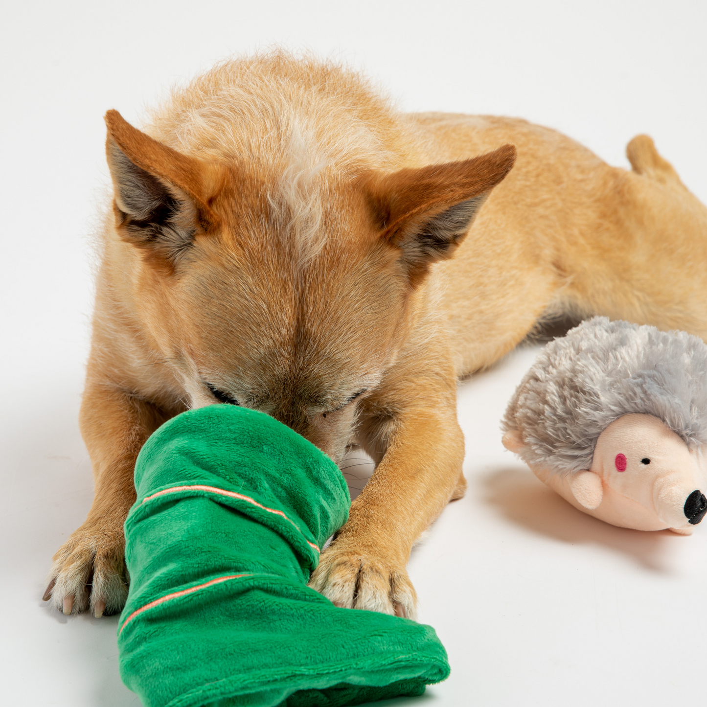 Deconstructible Sleeping Porcupine Snuffle Dog Toy