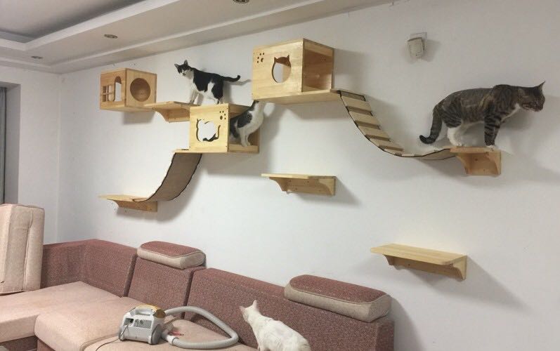 Wall-mounted Wooden Cat Shelf - 2 Sizes