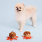 Sushi Snuffle Dog Toy Activity Set
