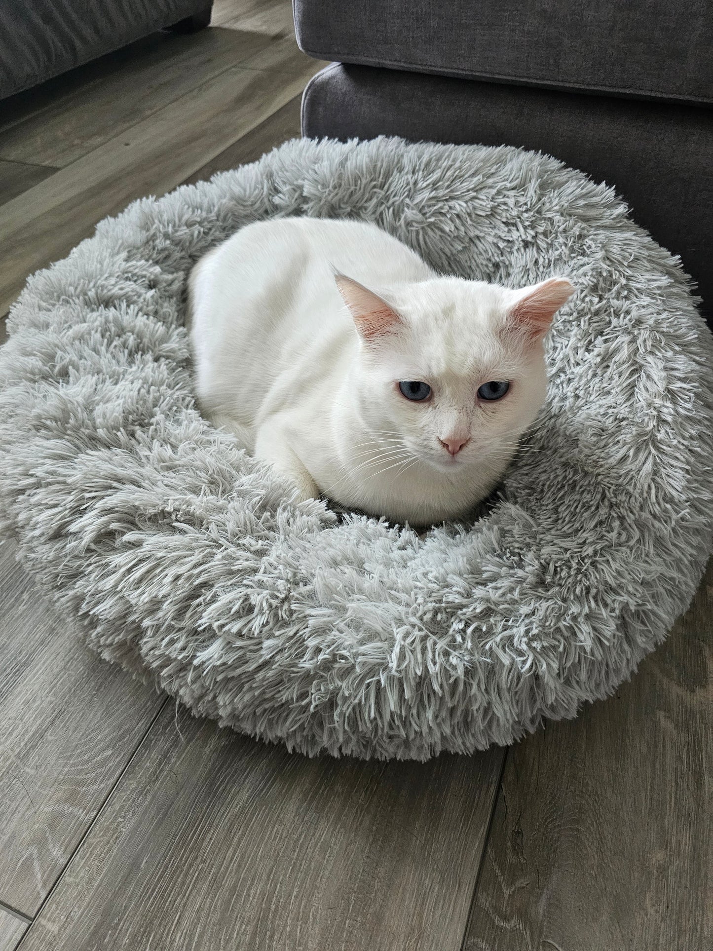 Calming Plush Bed For Anxious Pets