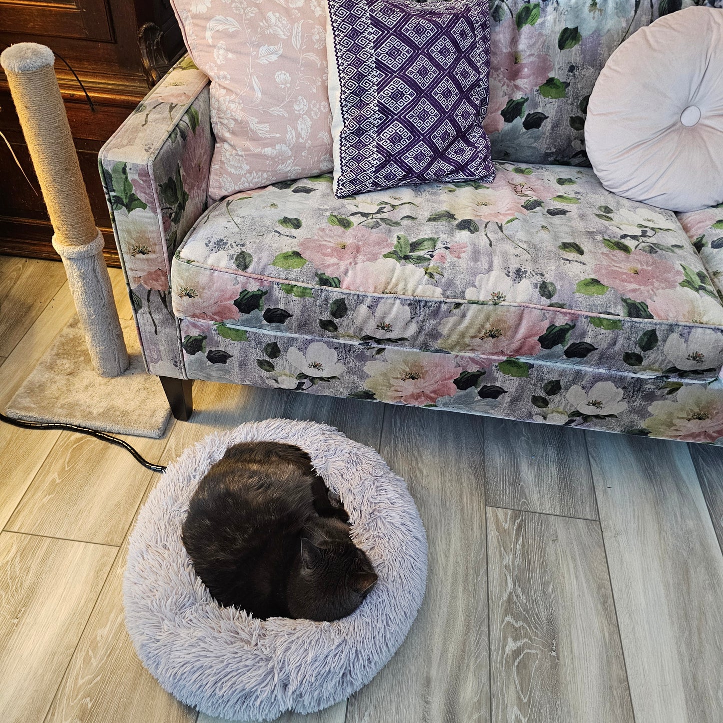 Purrfect Haven - Heated Calming Bed - For Cats & Small Dogs