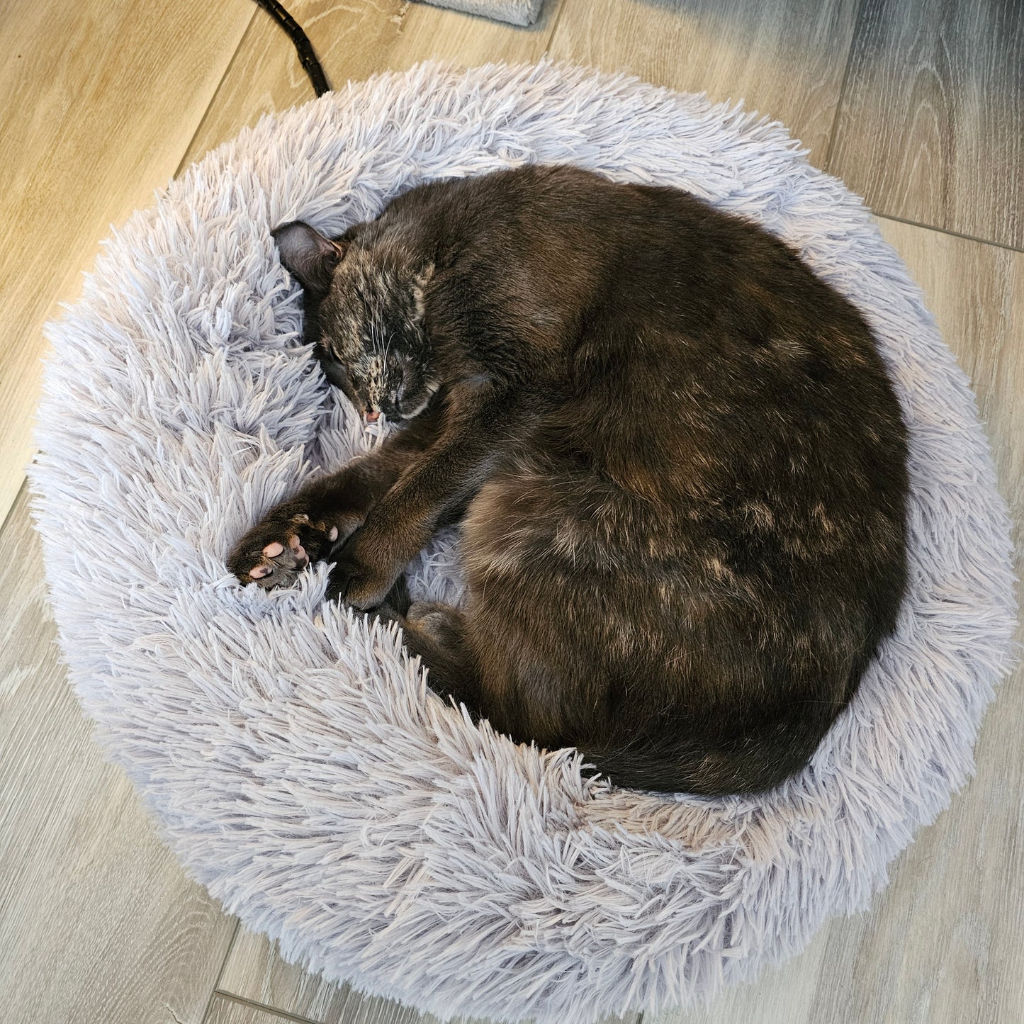 Purrfect Haven - Heated Calming Bed - For Cats & Small Dogs