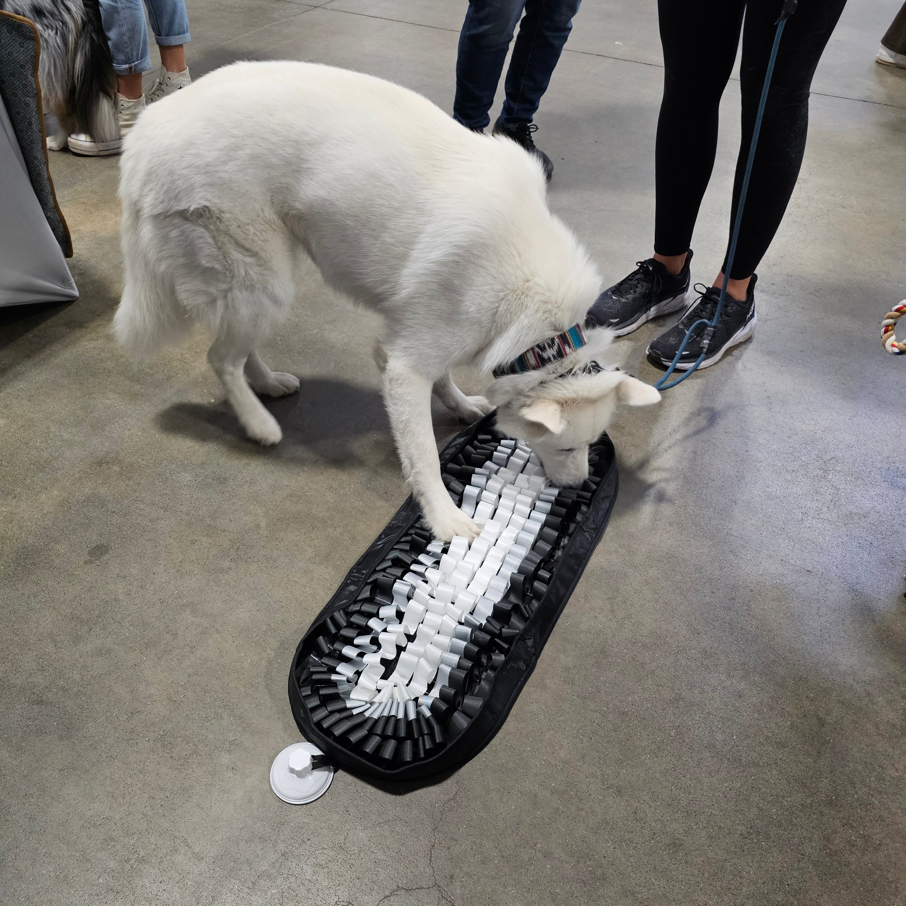 Night on the Town - Snuffle Mat - To Wear Your Pet Out