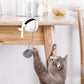 Electric Automatic Motion Cat Teaser Ball