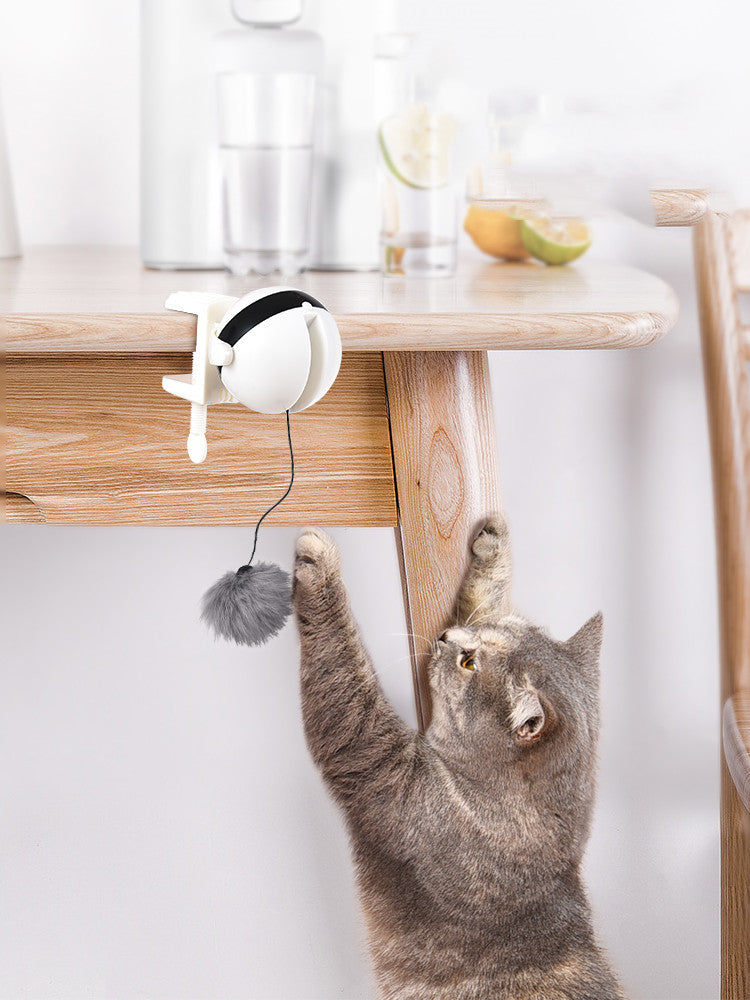 Electric Automatic Motion Cat Teaser Ball