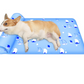 Summer Cooling Mat With Pillow