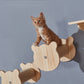 Solid Wood Wall Mounted Cat Platforms