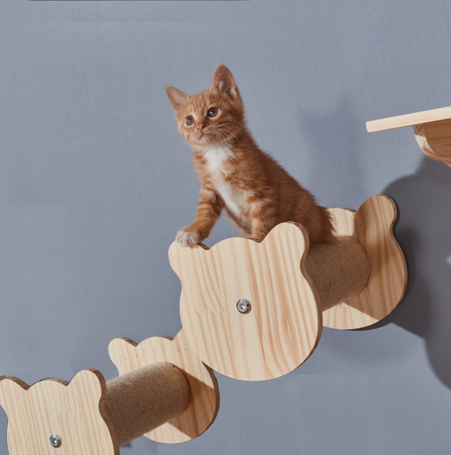 Solid Wood Wall Mounted Cat Platforms