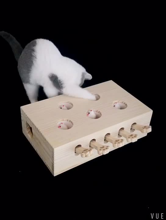 Wooden peekaboo cat toy