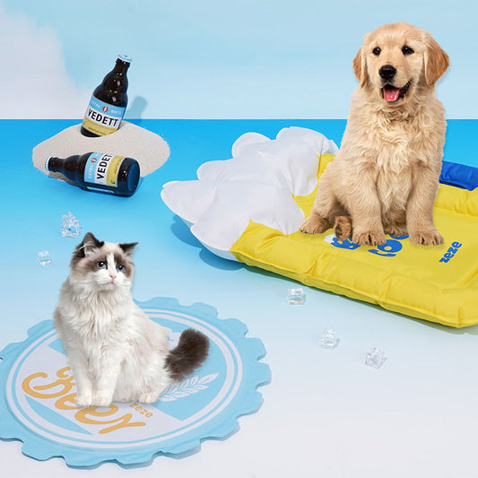 Beer Mug Dog Cooling Pad To Beat the Summer Heat