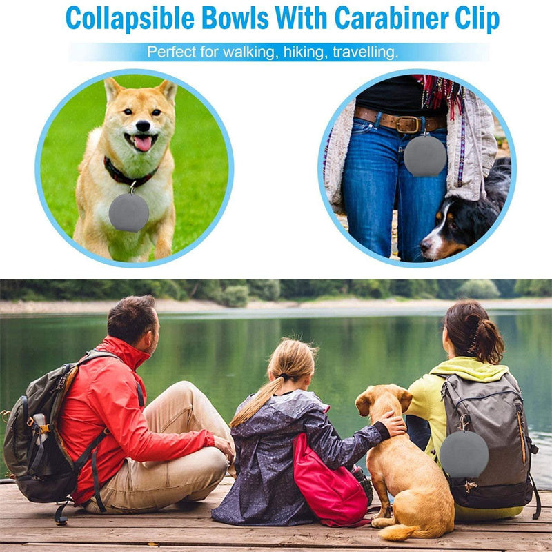 Foldable Double Pet Bowl For Easy Outings