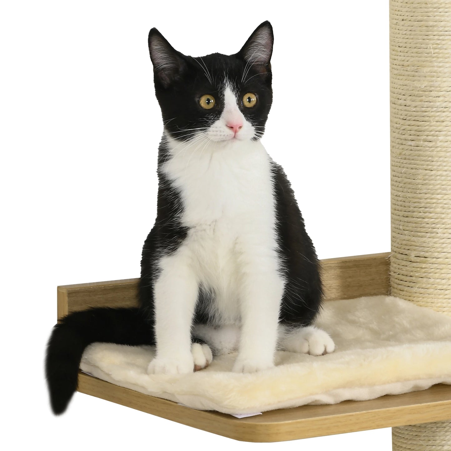 Wall-Mounted Cat Tree With Bridge and Scratching Posts