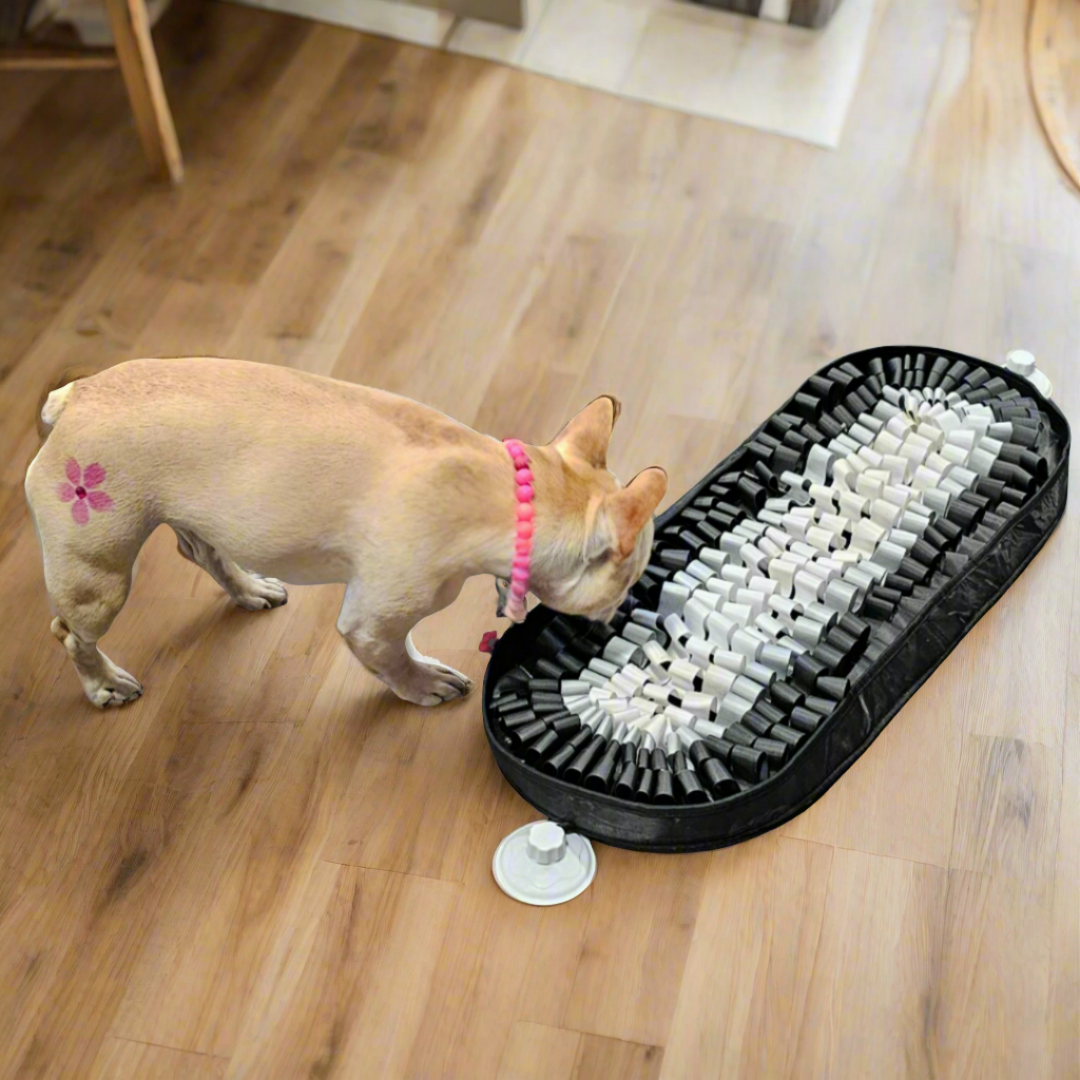 Night on the Town - Snuffle Mat - To Wear Your Pet Out