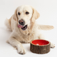 Farmhouse Rustic Wood-Look Pet Bowl