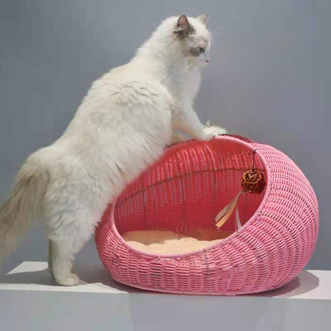 Rattan Nest with Cushion for Modern Pet Parents