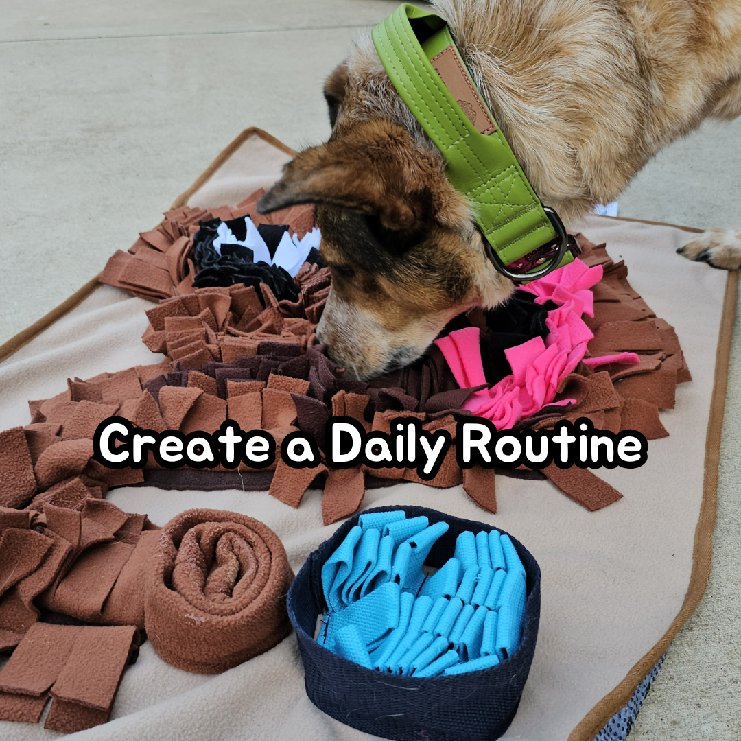 Snufflepupagus - Snuffle Mat - Dense Polar Fleece & Webbing