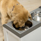 Elevated Stainless Steel Dog Feeder with Built-in Storage