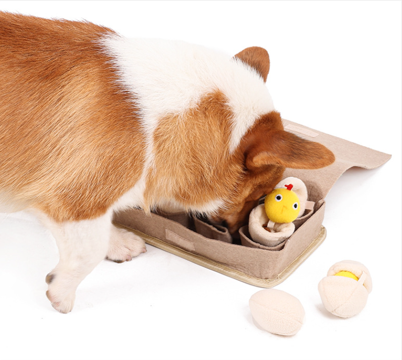 Get Crack'n Egg Carton Take-apart Snuffle Toy