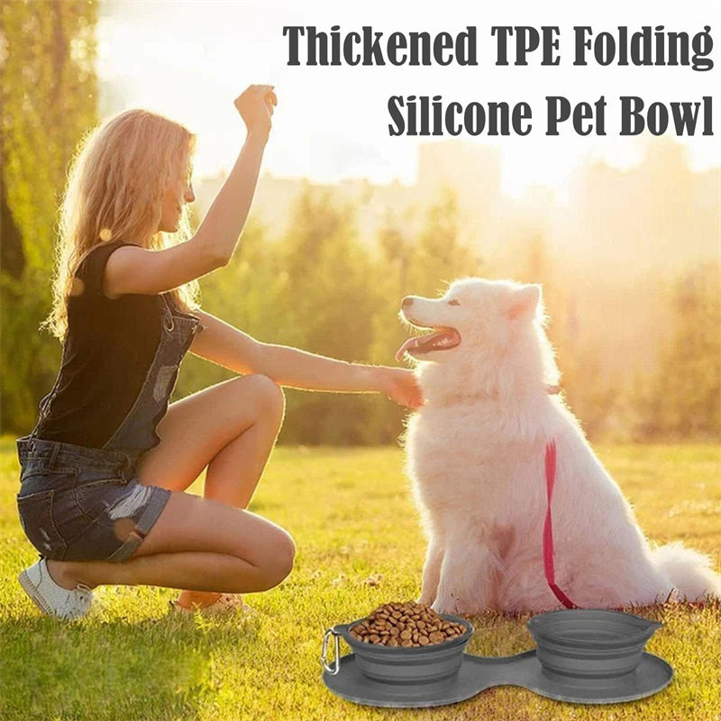 Foldable Double Pet Bowl For Easy Outings