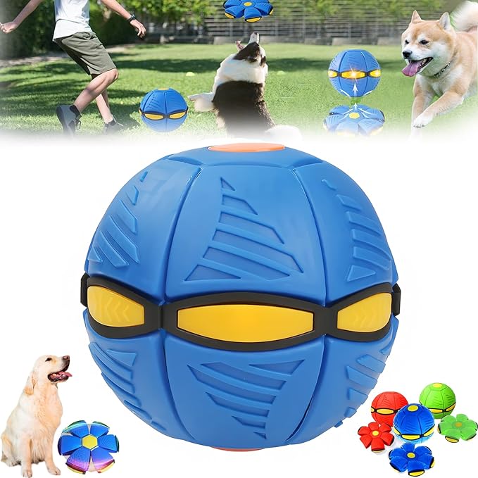 Flying Saucer Ball For Active Play