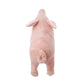 Pet Pig Plush Dog Toy