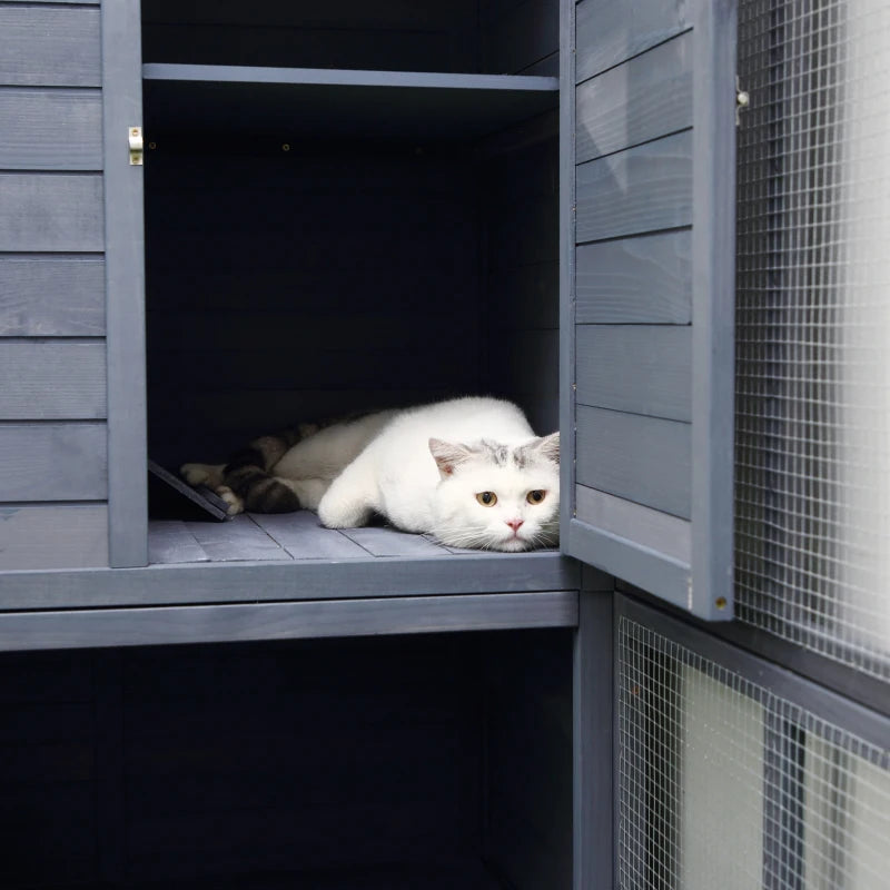 Play Place - Catio - With Cozy Condo