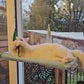 Window Hammock for Large Cats - Ghost's Fave!