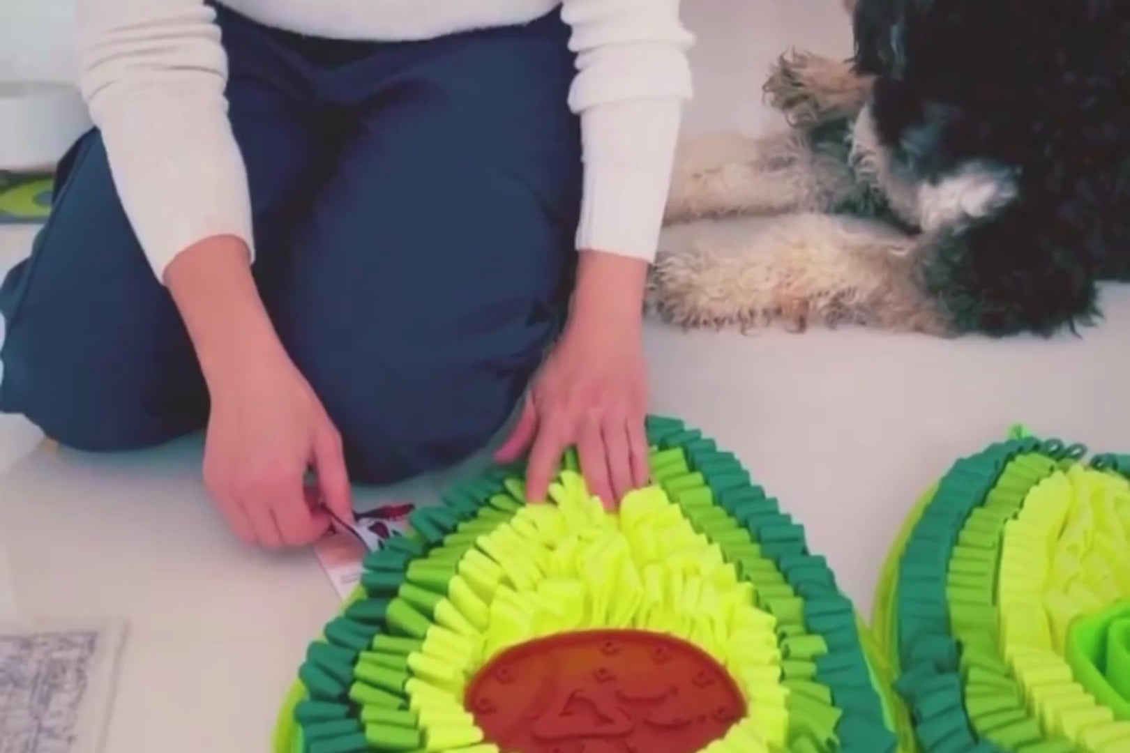Delicious Avocado - Snuffle Mat - Dual Sided