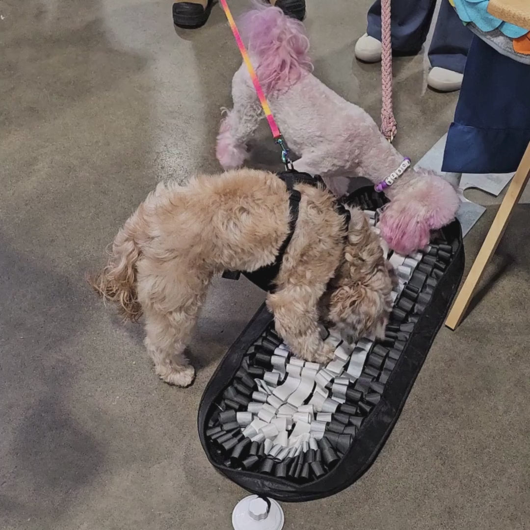 Night on the Town - Snuffle Mat - To Wear Your Pet Out