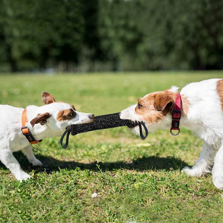 Resistance Training Tug Toy