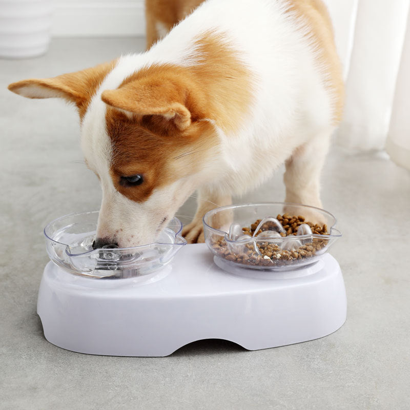 Elevated Double Bowl With Slow Feeding Side and Smooth Side Elevated pet bowl - InspirationIncluded