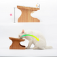 Single Elevated Pet Bowl With Cervical Angle on Solid Wood Stand - InspirationIncluded