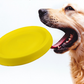 Soft Dog Frisbee Activity Toy
