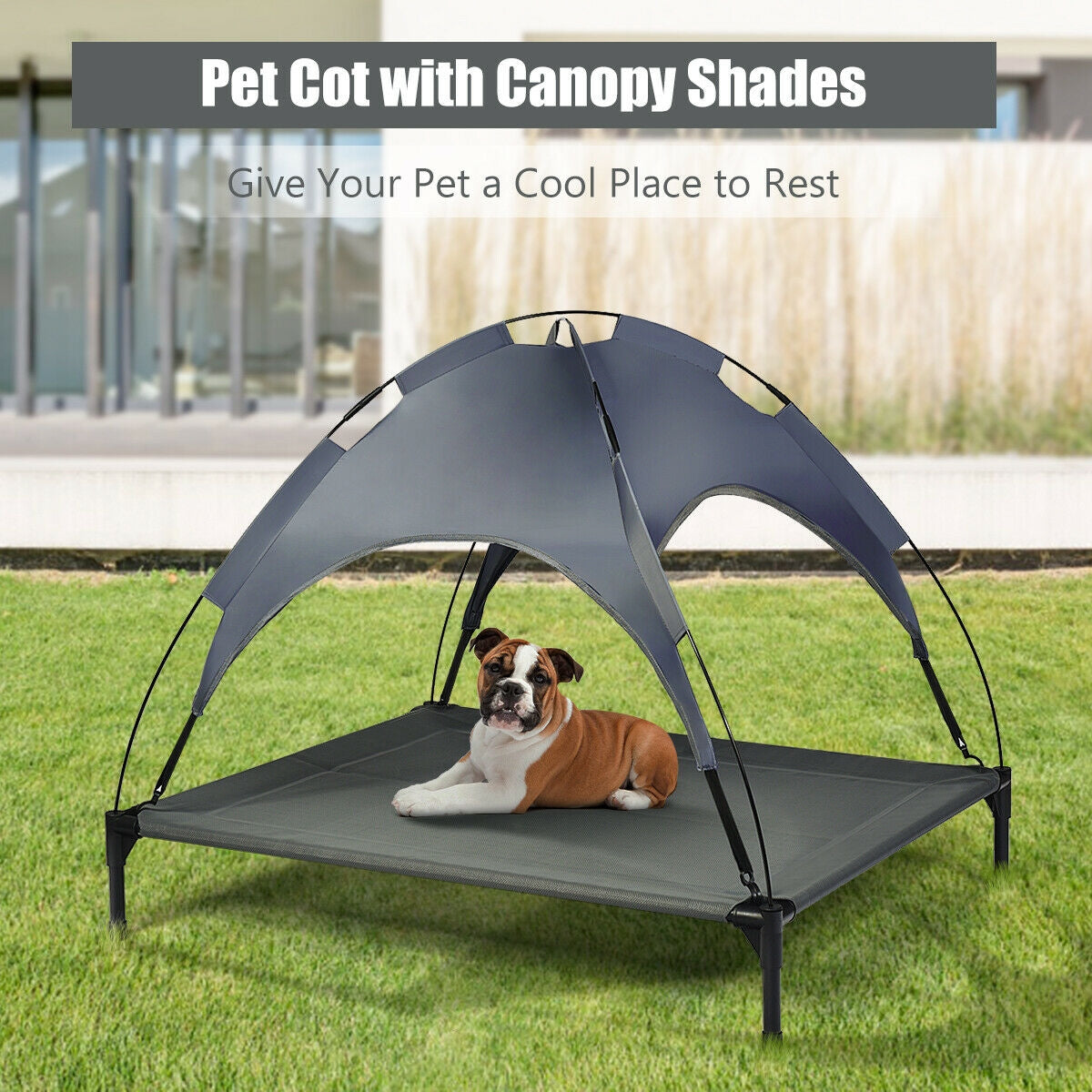 Elevated Outdoor Pet Bed with Removable Canopy Shade-42 Inch