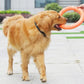 The Halo - Dog Toy - Training Ring