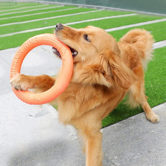 The Halo - Dog Toy - Training Ring