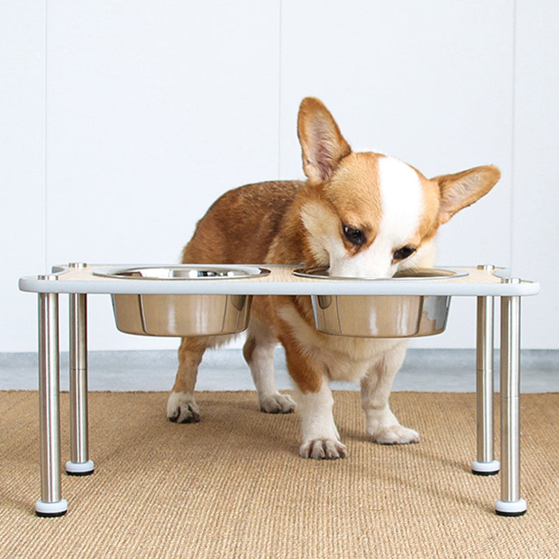 Stainless Steel Dog Food Bowls on Height Adjustable Dog Bowls - InspirationIncluded