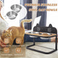 Elevated Kitty Cat Stainless Steel Bowls on Adjustable Stand